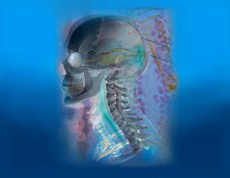 visualize, visualization, illustration, animation, medical illustration, 3D illustration, 3D animation, 3D computer modeling, stock illustration