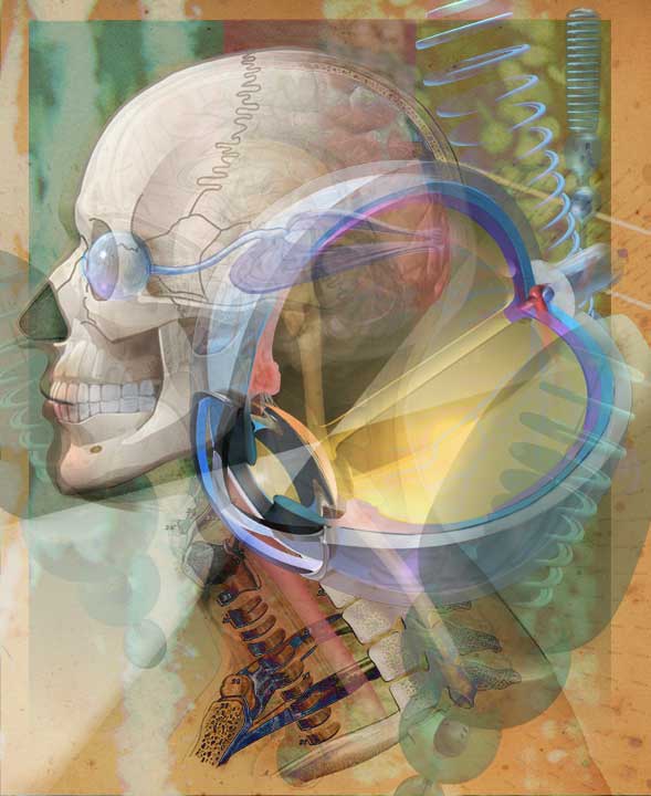 The Minds' Eye The brain eye, and visual structures...This image has many variations available.